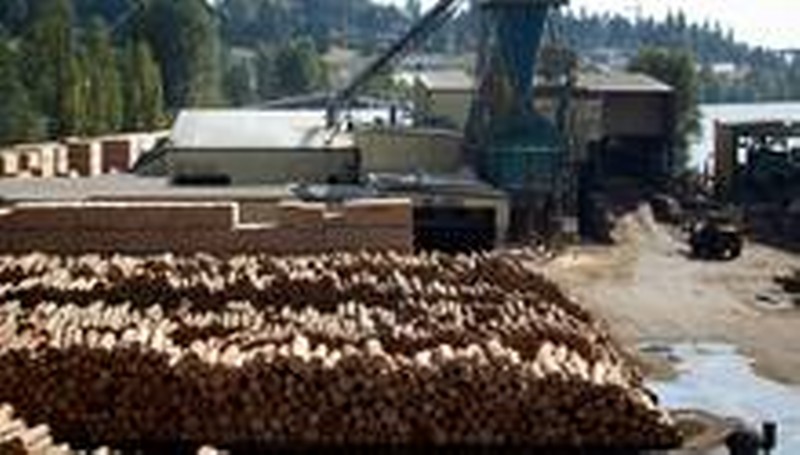 Logs to be processed are pictured at Interfor's Acorn Division mill in Delta