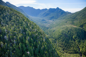 View into the intact side valleys in 2013. Sadly, these have since been roaded and logged