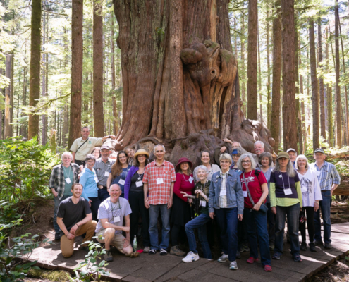 Directions to Avatar Grove and the big trees.