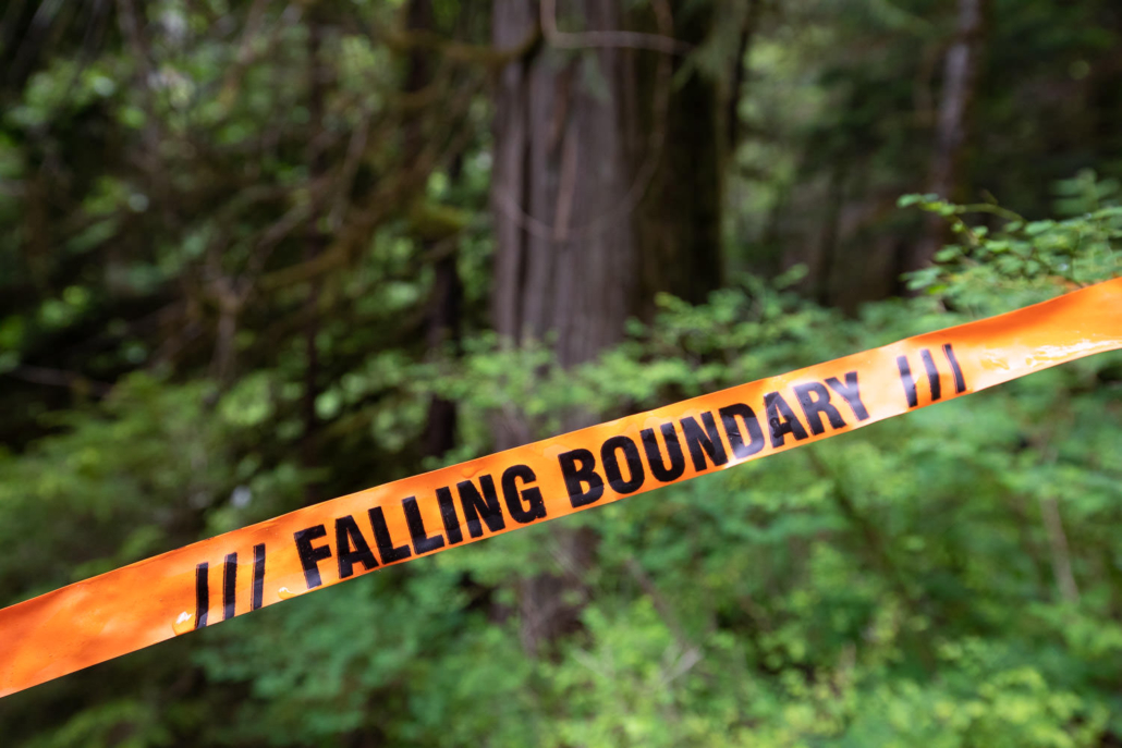 BC Timber Sales Falling Boundary.
