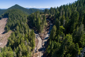 Near logging roads constructed by Teal-Jones approach the unprotected headwaters of the Fairy Creek Valley.