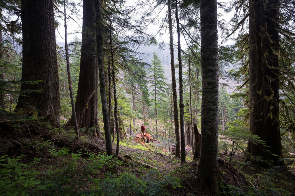 An uncertain future...