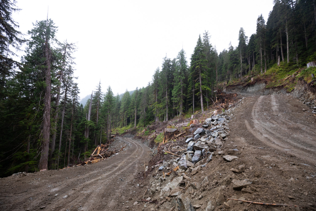 New roads leading through old-growth in the Granite Creek watershed. The one on the right heads up towards the ridgeline of Fairy Creek.