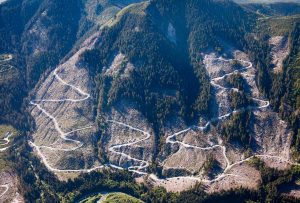 Klanawa Valley - TFL 44 - Western Forest Products