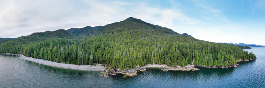 Overlooking the unprotected ancient forests of Vernon Bay in Barkley Sound in Uchucklesaht and Tseshaht nation territories. 33 logging cutblocks have been approved in this region, some overlapping with the newly recommended deferral areas.