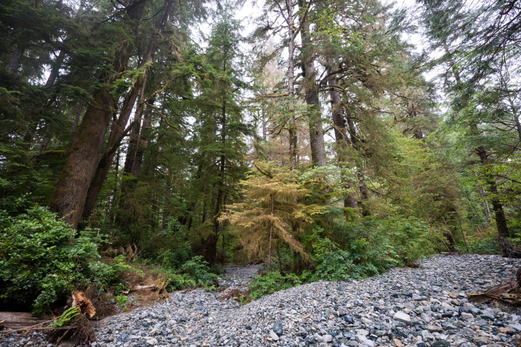 Walking up the river bed.