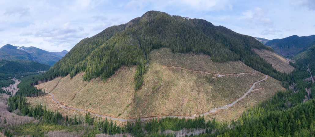 Conservationists uncovered the clearcutting of massive old-growth redcedar trees by BC Timber Sales in 2018 in the Nahmint Valley near Port Alberni in Hupačasath, Tseshaht, and Yuułuʔiłʔatḥ First Nation territory. 