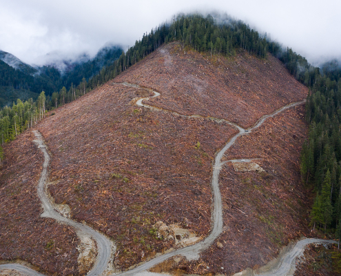 An aerial shot of a clearcut in the Caycuse Watershed in Ditidaht Territory.