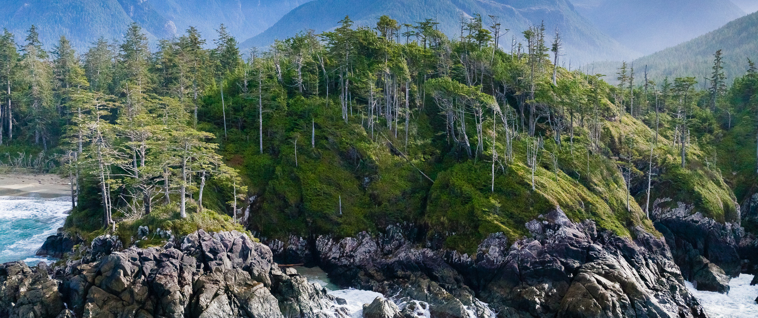 A turquoise ocean splashes against craggy rocks with lush, green old-growth forest and blue-hued mountains in the background.