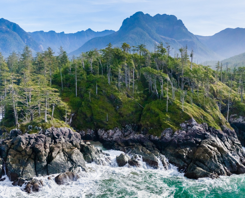 A turquoise ocean splashes against craggy rocks with lush, green old-growth forest and blue-hued mountains in the background.