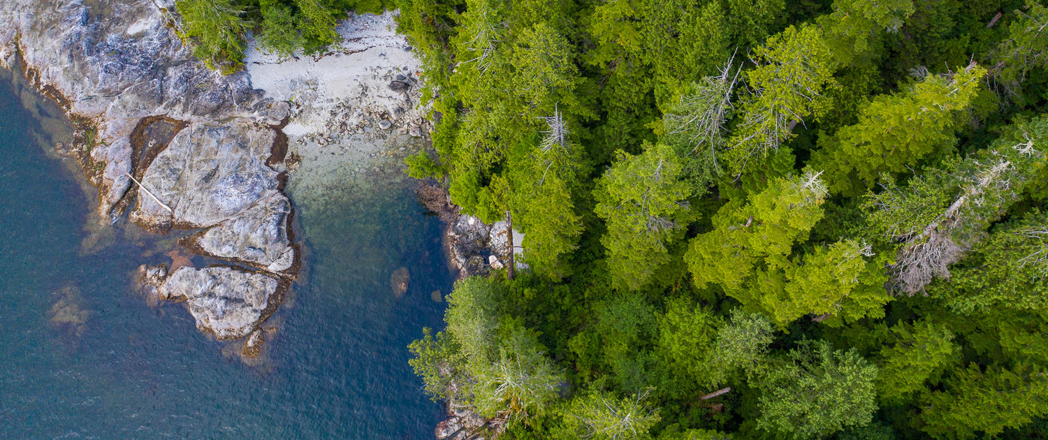 An aerial capture of Vernon Bay, with shining blue water surrounded by craggy rocks on the left bordered by lush green old-growth treetops.