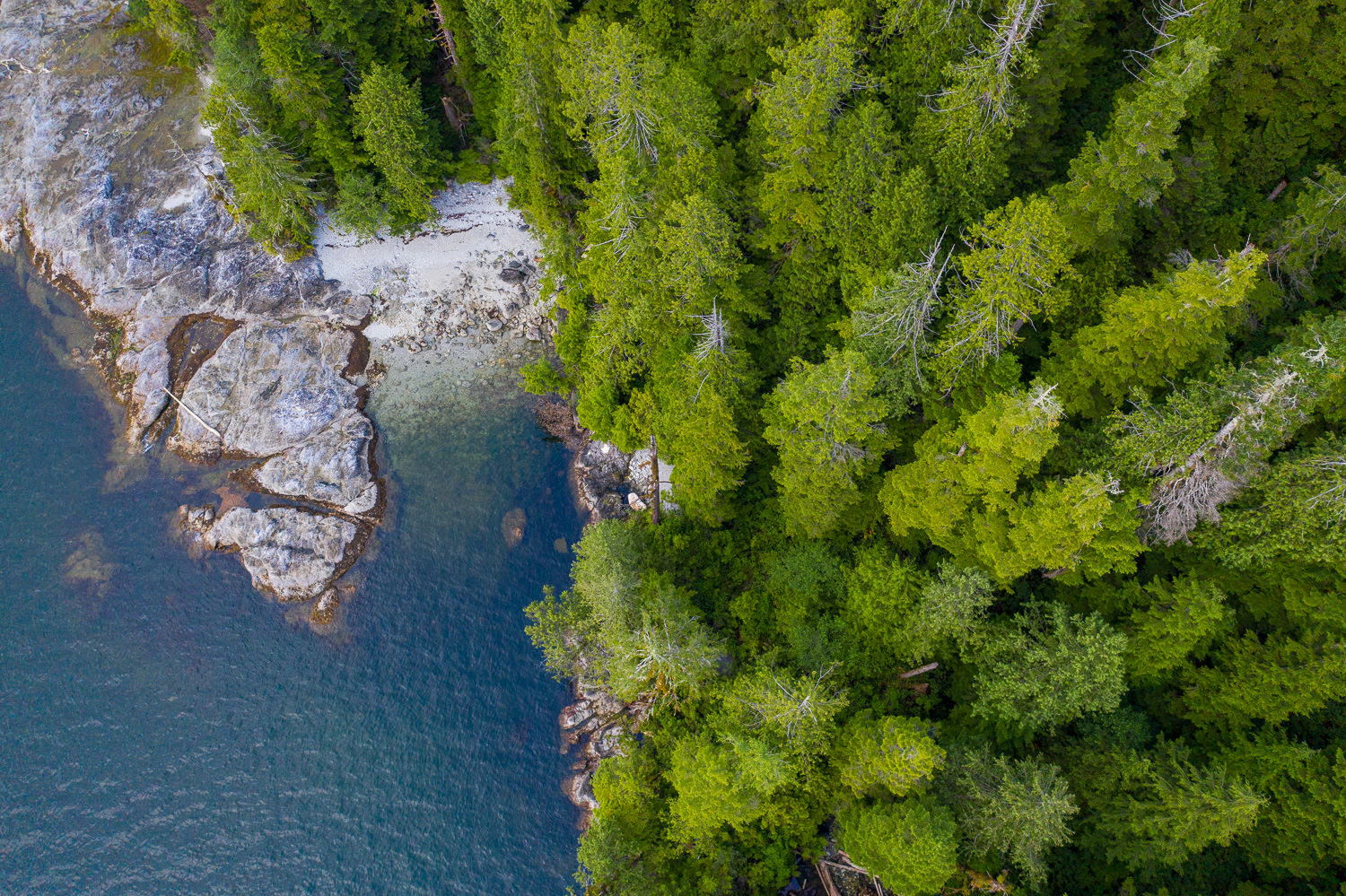 An aerial capture of Vernon Bay, with shining blue water surrounded by craggy rocks on the left bordered by lush green old-growth treetops.