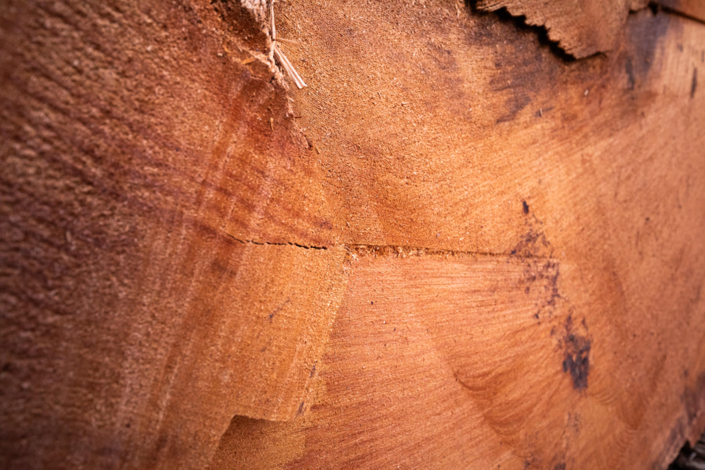 Centuries of growth...