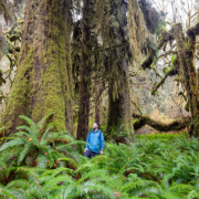Endangered Ecosystems Alliance executive director, Ken Wu, stands in a blue jacket amongst the spectacular yet unprotected ancient forests of the Mossome Grove near Port Renfrew in Pacheedaht territory.