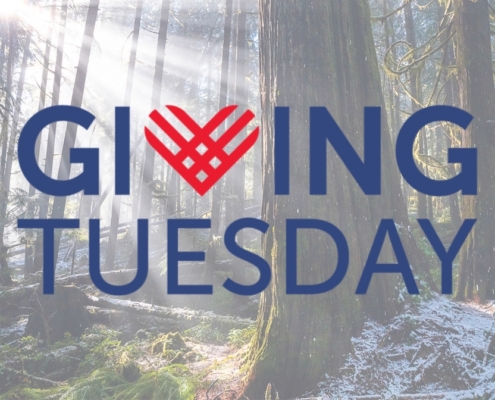 A lightened photo of a snowy old-growth forest with the words "Giving Tuesday" overlaid.