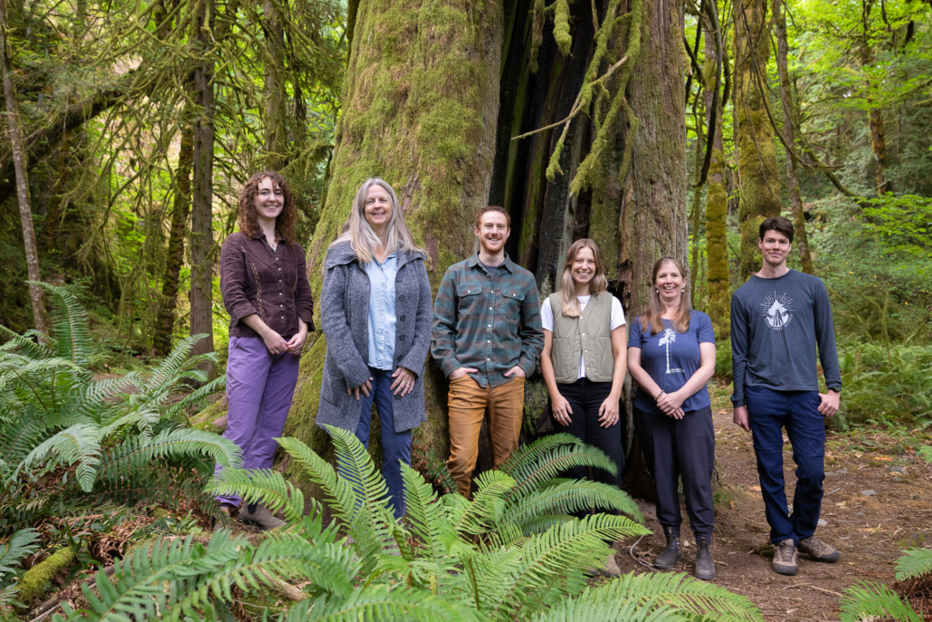 In the middle of a gorgeous green old-growth grove stand four women and two men, all with their hands in front of them, all smiling. A lush green fern sits in front of them and a large, hollowed out ancient cedar sits proudly behind them.