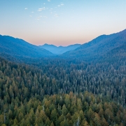 The Carmanah Valley at dusk, with shades of green and blue in the valley and pink along the mountain outline.