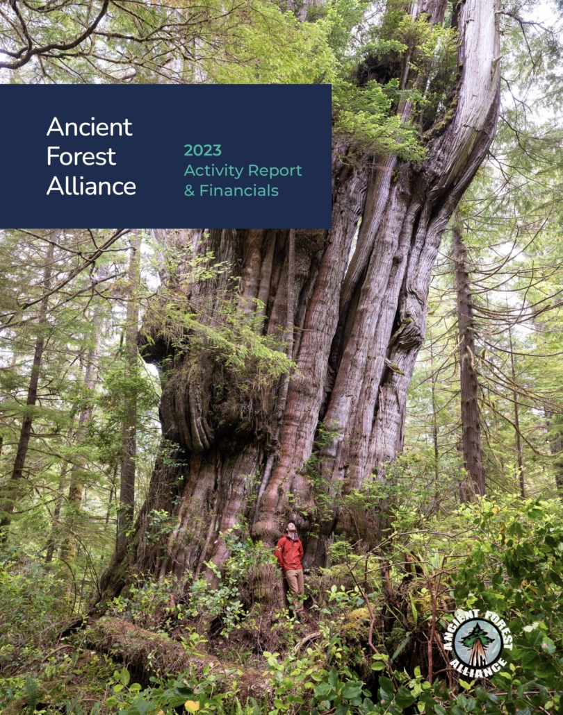 A man in a red jacket stands in front of a massive old-growth western redcedar. A navy blue text box sits in the top left corner reading, "Ancient Forest Alliance; 2023 Activity Report & Financials". Ancient Forest Alliance's logo sits in the bottom right corner.