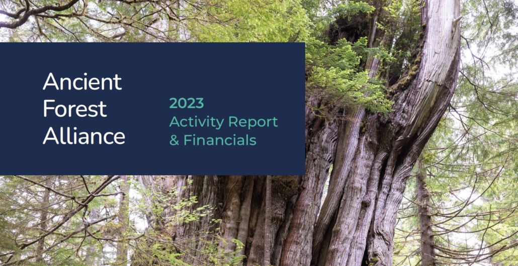 A man in a red jacket stands in front of a massive old-growth western redcedar. A navy blue text box sits in the top left corner reading, "Ancient Forest Alliance; 2023 Activity Report & Financials". Ancient Forest Alliance's logo sits in the bottom right corner.