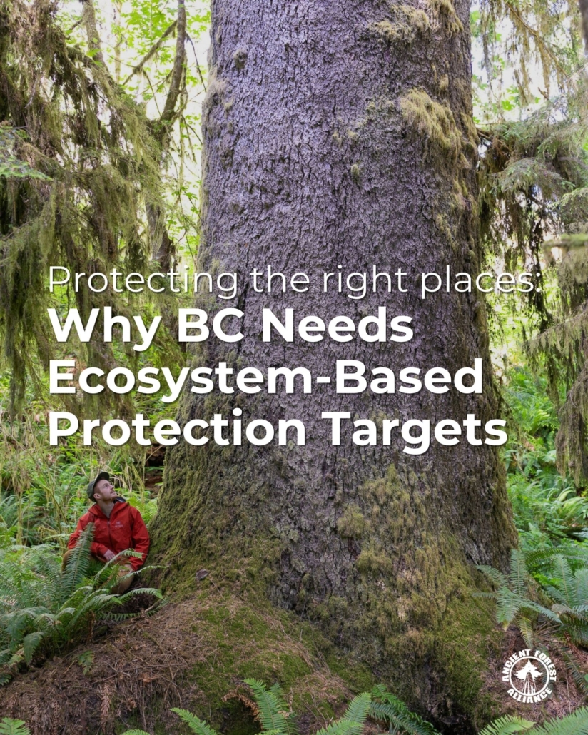 Why BC Needs Ecosystem-Based Targets 