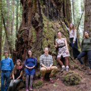 afa-canvass-crew-2018