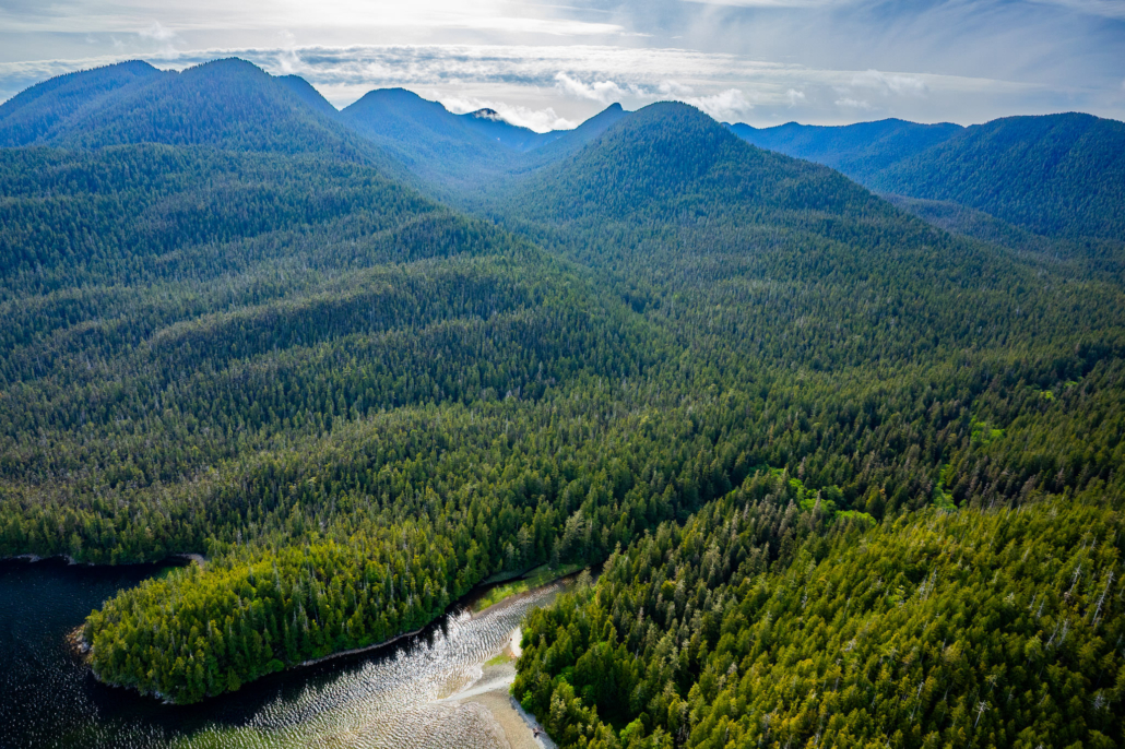 The čicyi Conservancy, Flores Island.