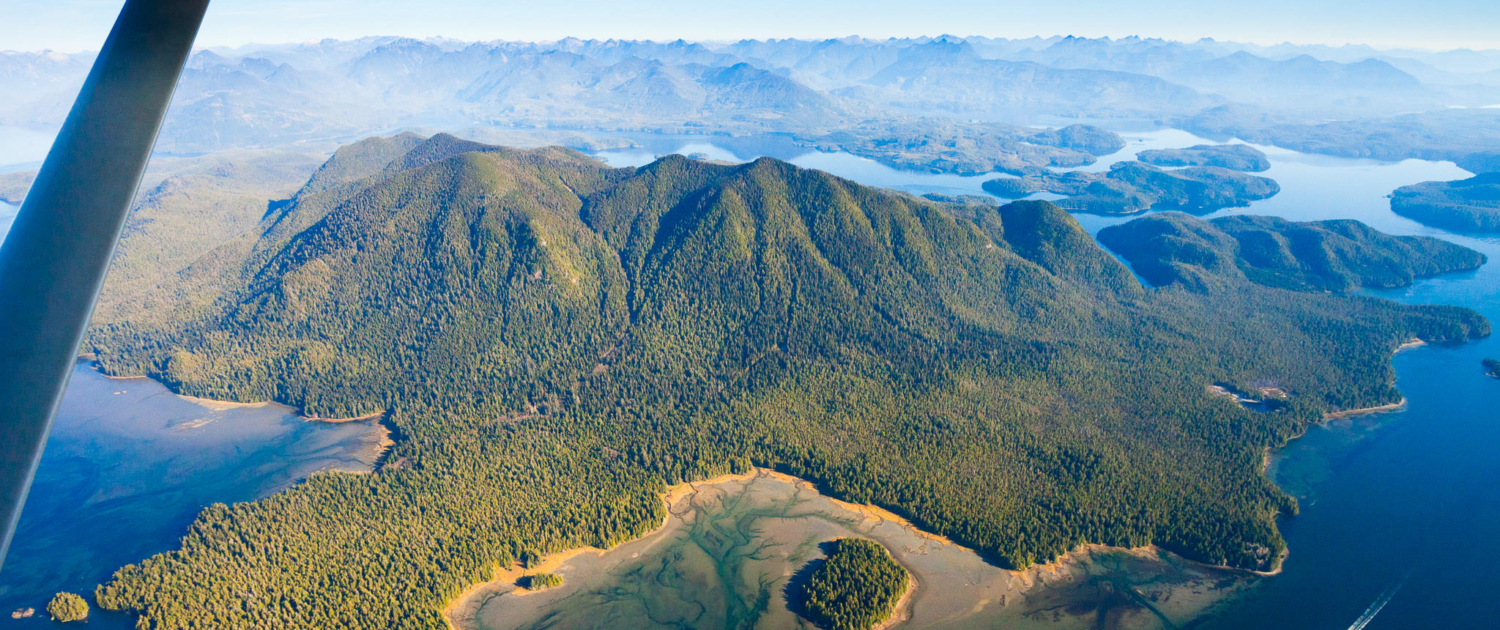 The intact rainforests of Meares Island, Clayoquot Sound