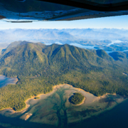 The intact rainforests of Meares Island, Clayoquot Sound