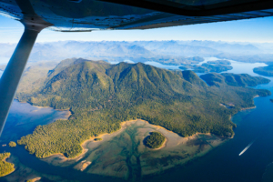 The intact rainforests of Meares Island, Clayoquot Sound
