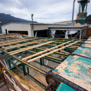 Lumber made from second-growth wood rolls through the former San Group Mill in Port Alberni. Facilities processing smaller diameter logs would have benefited from a fund with the stipulations that we are proposing.