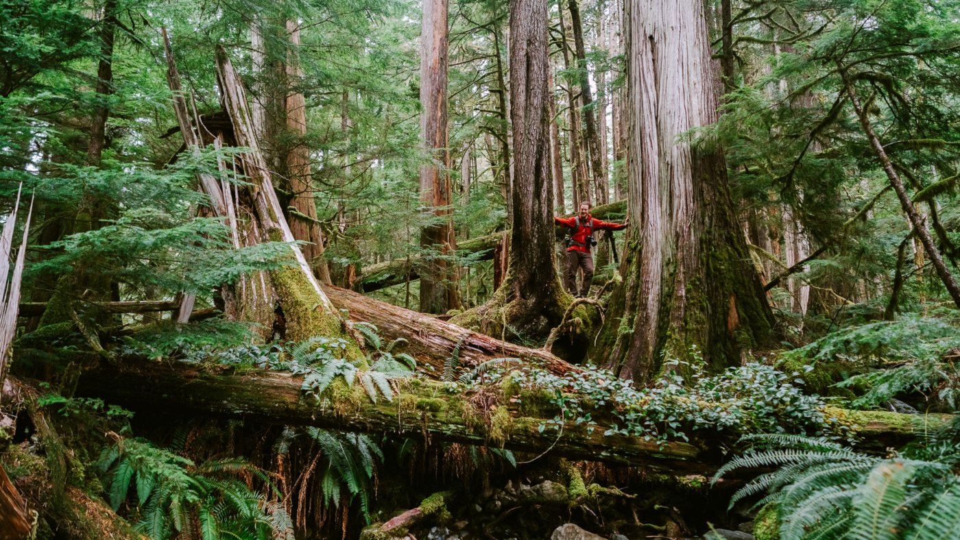 AFA-TJ-Exploring-Old-Growth-16x9