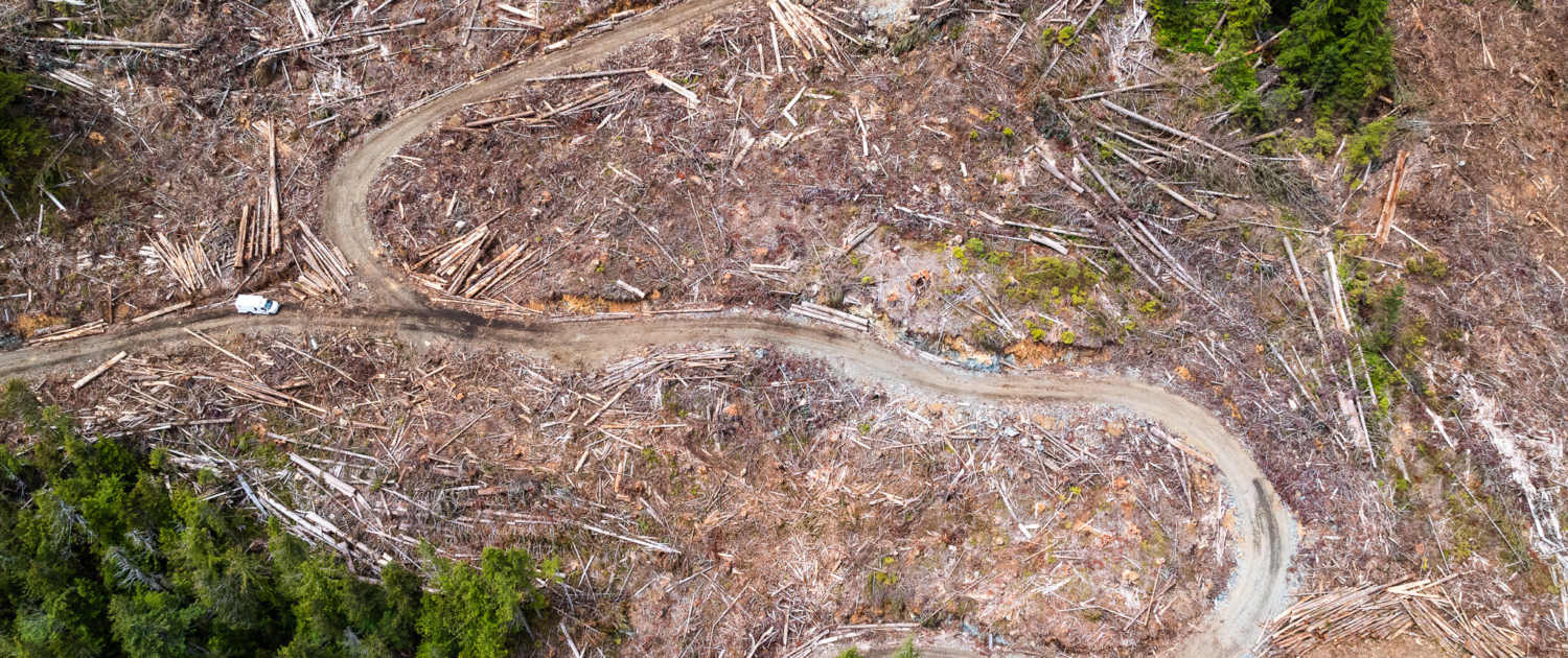An aerial of a BCTS cutblock in the Nahmint Valley