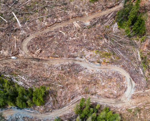 An aerial of a BCTS cutblock in the Nahmint Valley