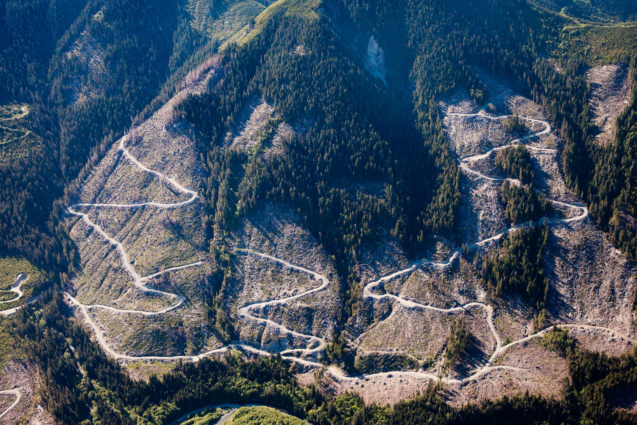 Aerial clearcut Klanawa Valley