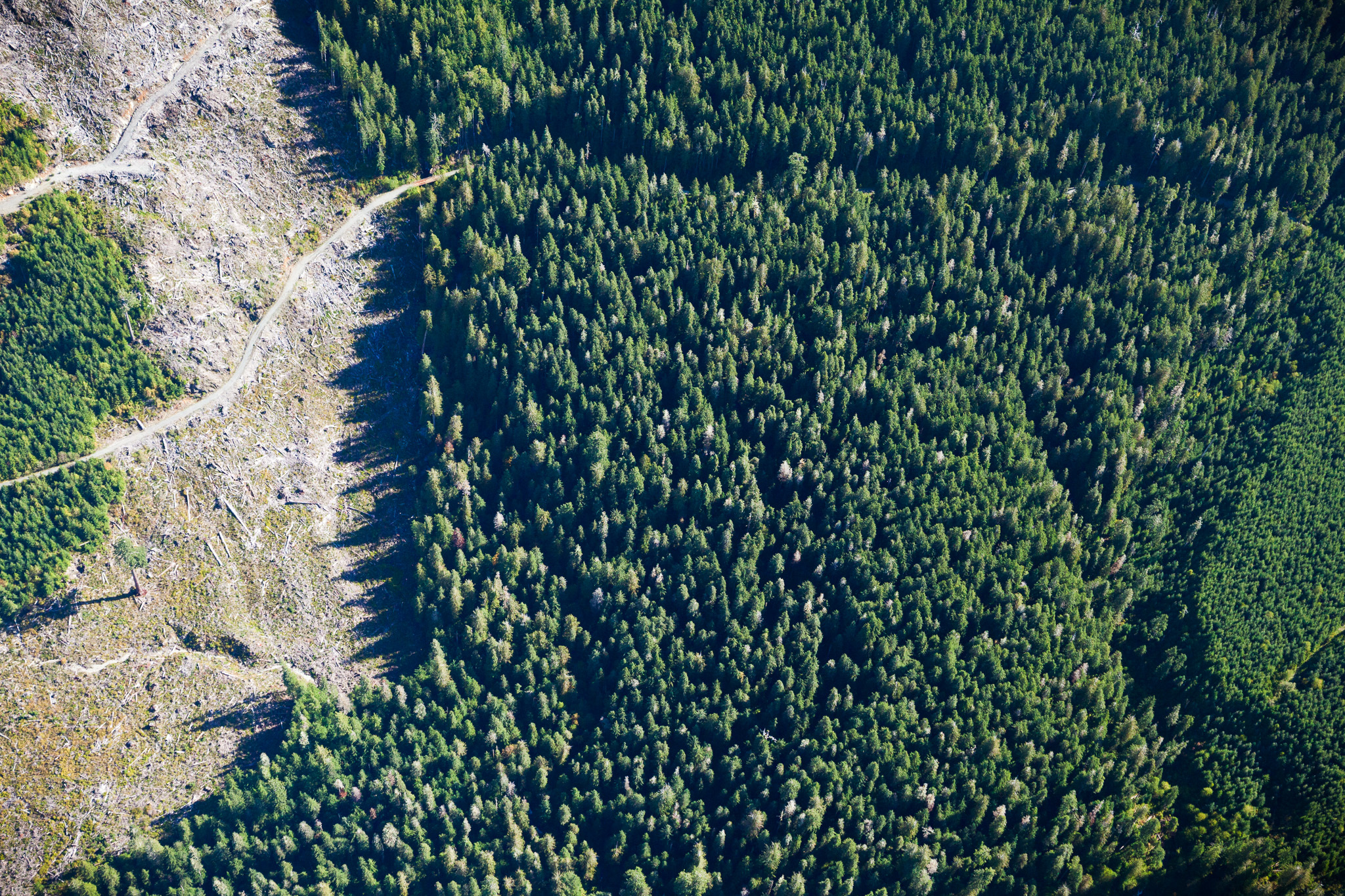 Eden Grove, Port Renfrew