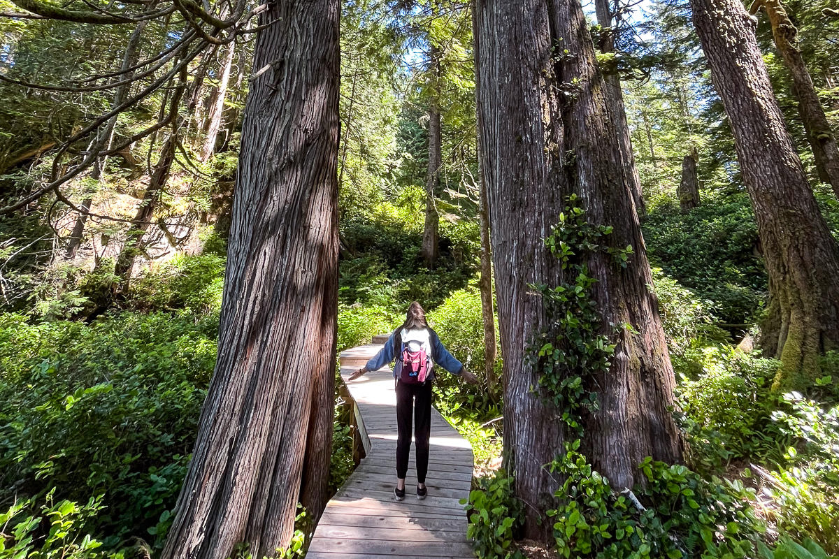 hotsprings-cove-old-growth-trail-1200px-3 Hot Springs Cove - Clayoquot Sound