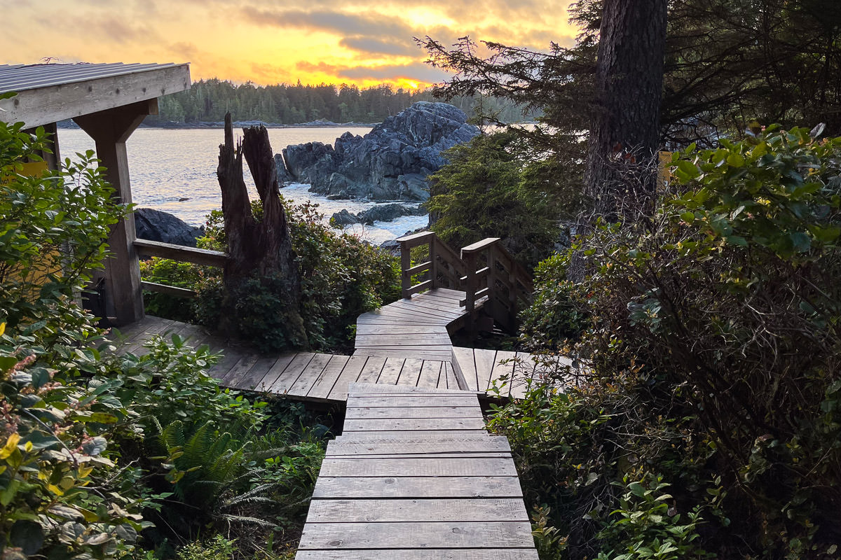 hotsprings-cove-old-growth-trail-1200px-300 Hot Springs Cove - Clayoquot Sound