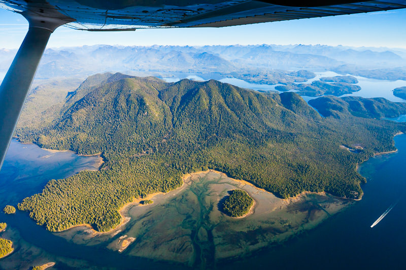 meares-island-big-tree-trail-tofino-1200px-338